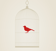 交易担保无忧的网络手机号在线发送